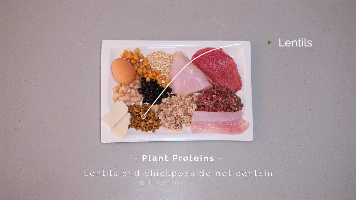 Starting Solids course — a still from the video sessions